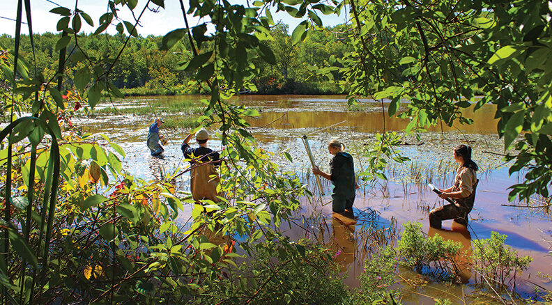 Lake Superior National Estuarine Research Reserve