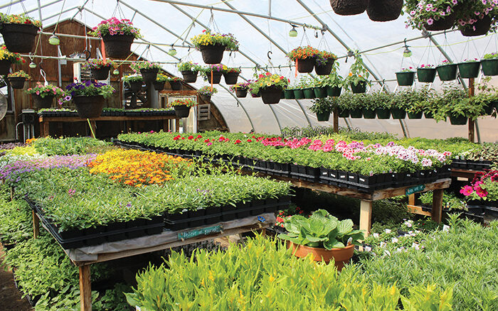 duluth_garden